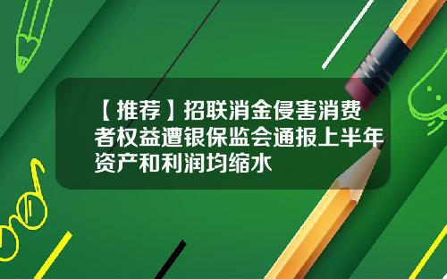 【推荐】招联消金侵害消费者权益遭银保监会通报上半年资产和利润均缩水