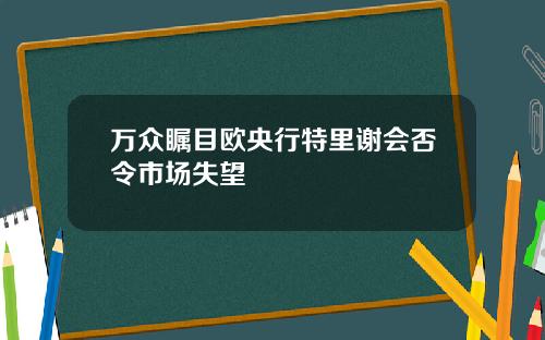 万众瞩目欧央行特里谢会否令市场失望