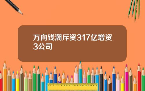 万向钱潮斥资317亿增资3公司