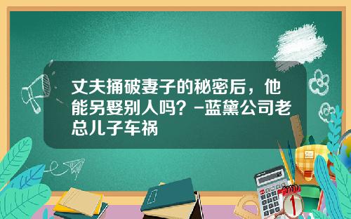 丈夫捅破妻子的秘密后，他能另娶别人吗？-蓝黛公司老总儿子车祸