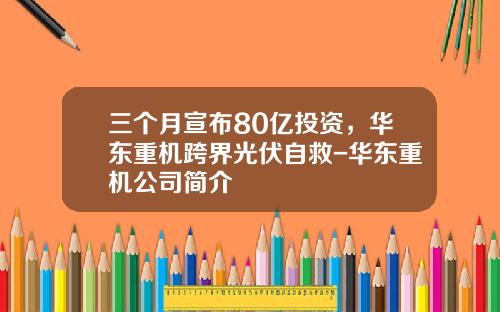 三个月宣布80亿投资，华东重机跨界光伏自救-华东重机公司简介