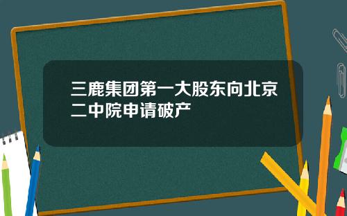 三鹿集团第一大股东向北京二中院申请破产