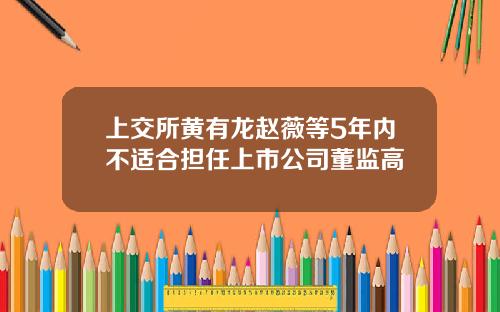 上交所黄有龙赵薇等5年内不适合担任上市公司董监高