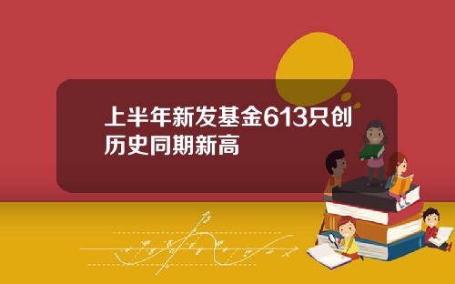 上半年新发基金613只创历史同期新高