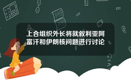 上合组织外长将就叙利亚阿富汗和伊朗核问题进行讨论