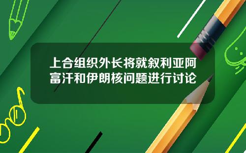 上合组织外长将就叙利亚阿富汗和伊朗核问题进行讨论