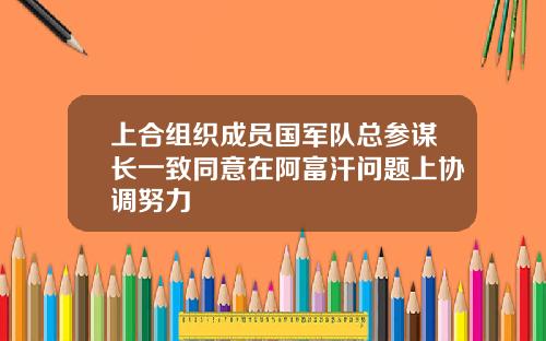 上合组织成员国军队总参谋长一致同意在阿富汗问题上协调努力