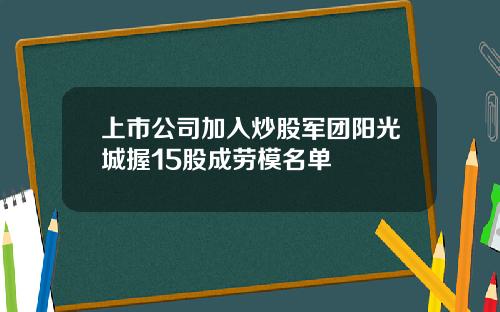 上市公司加入炒股军团阳光城握15股成劳模名单