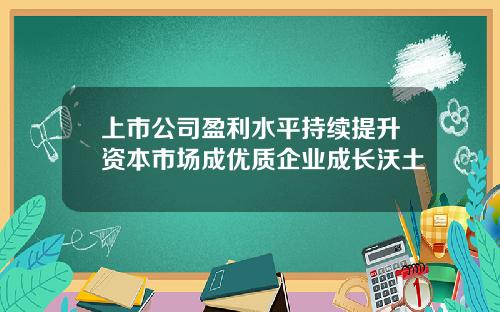 上市公司盈利水平持续提升资本市场成优质企业成长沃土