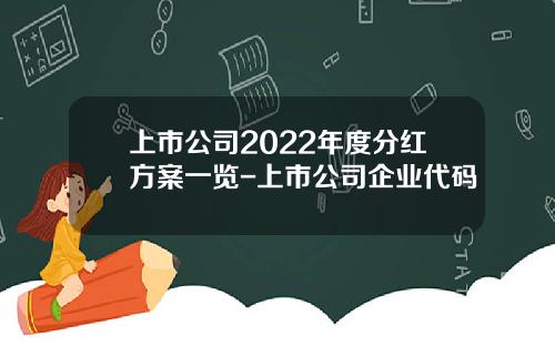 上市公司2022年度分红方案一览-上市公司企业代码