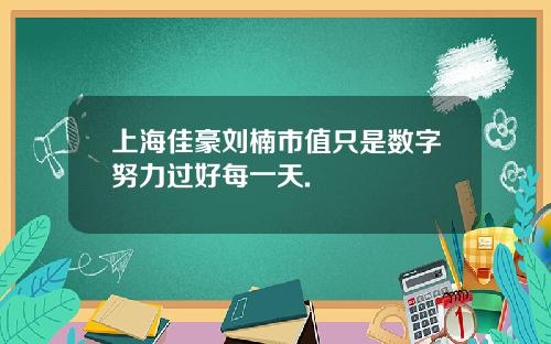 上海佳豪刘楠市值只是数字努力过好每一天.