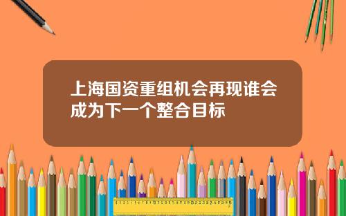 上海国资重组机会再现谁会成为下一个整合目标