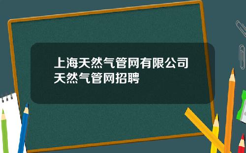 上海天然气管网有限公司 天然气管网招聘