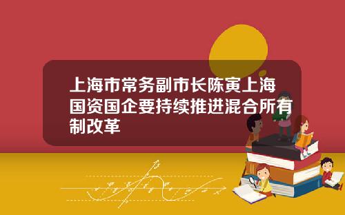 上海市常务副市长陈寅上海国资国企要持续推进混合所有制改革