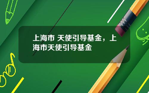 上海市 天使引导基金，上海市天使引导基金