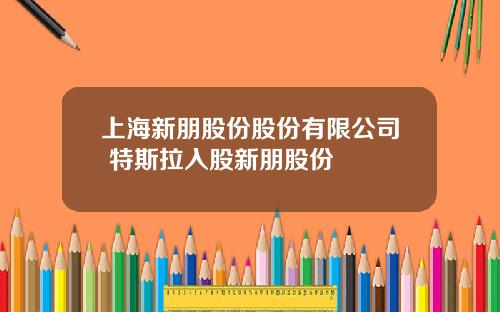 上海新朋股份股份有限公司 特斯拉入股新朋股份