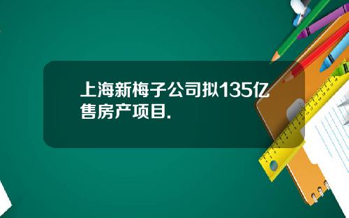 上海新梅子公司拟135亿售房产项目.