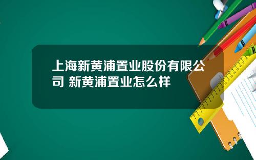 上海新黄浦置业股份有限公司 新黄浦置业怎么样