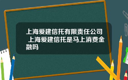 上海爱建信托有限责任公司 上海爱建信托是马上消费金融吗