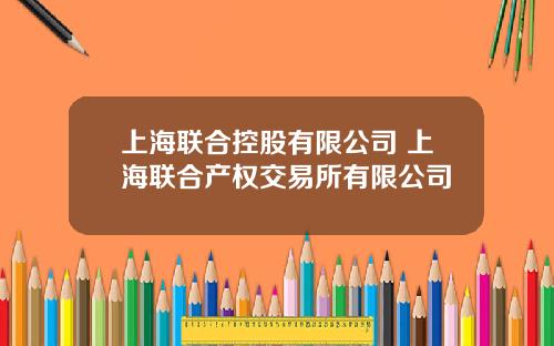 上海联合控股有限公司 上海联合产权交易所有限公司