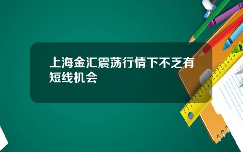 上海金汇震荡行情下不乏有短线机会