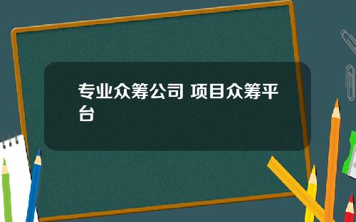 专业众筹公司 项目众筹平台