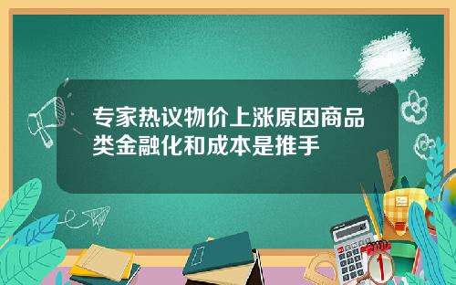 专家热议物价上涨原因商品类金融化和成本是推手