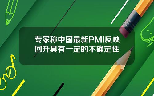 专家称中国最新PMI反映回升具有一定的不确定性