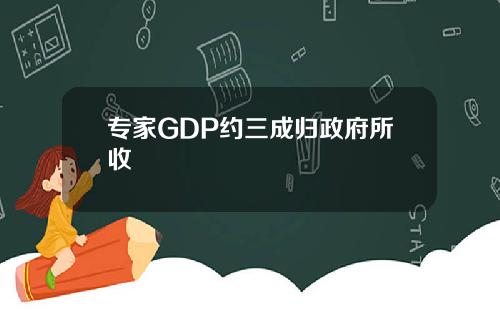 专家GDP约三成归政府所收