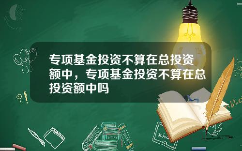 专项基金投资不算在总投资额中，专项基金投资不算在总投资额中吗