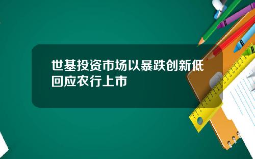 世基投资市场以暴跌创新低回应农行上市