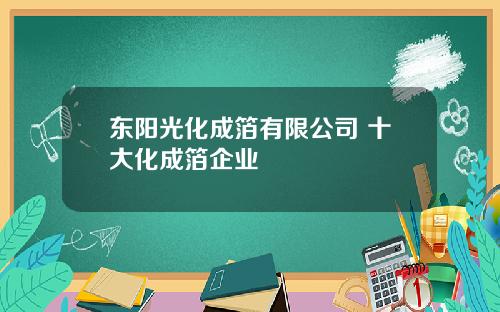 东阳光化成箔有限公司 十大化成箔企业