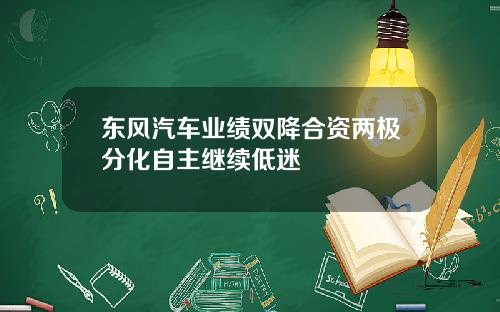 东风汽车业绩双降合资两极分化自主继续低迷