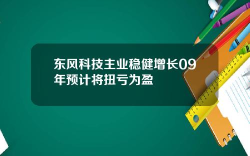 东风科技主业稳健增长09年预计将扭亏为盈