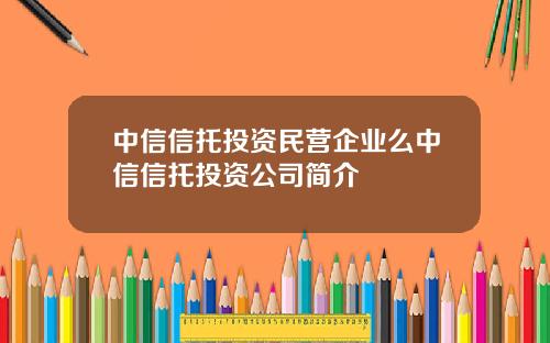 中信信托投资民营企业么中信信托投资公司简介