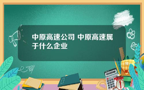 中原高速公司 中原高速属于什么企业