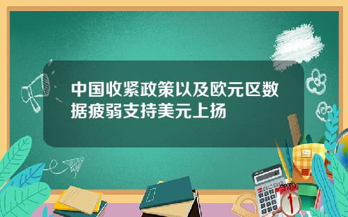 中国收紧政策以及欧元区数据疲弱支持美元上扬