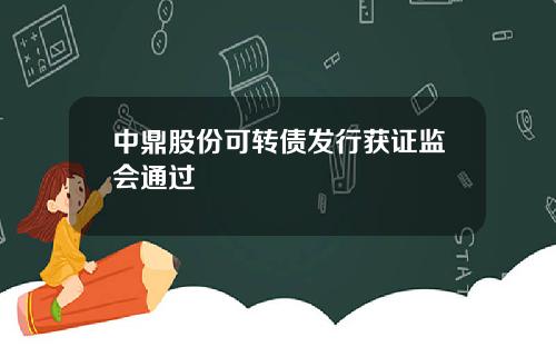 中鼎股份可转债发行获证监会通过