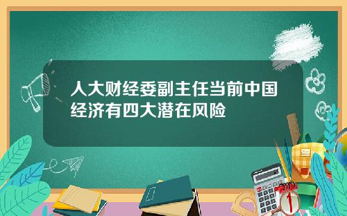 人大财经委副主任当前中国经济有四大潜在风险