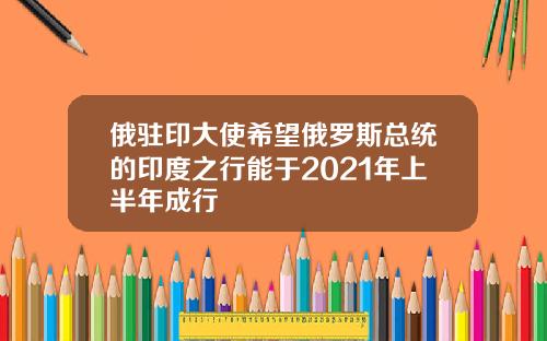 俄驻印大使希望俄罗斯总统的印度之行能于2021年上半年成行