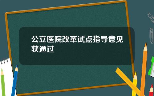 公立医院改革试点指导意见获通过