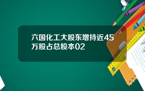 六国化工大股东增持近45万股占总股本02