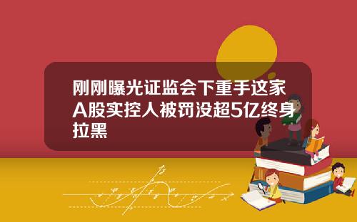 刚刚曝光证监会下重手这家A股实控人被罚没超5亿终身拉黑