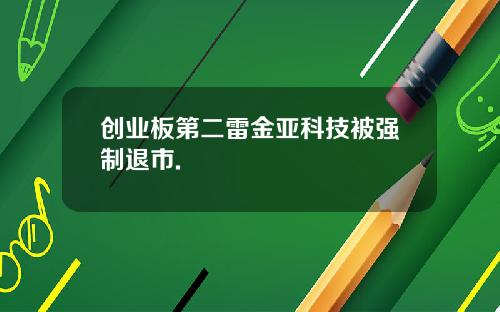 创业板第二雷金亚科技被强制退市.