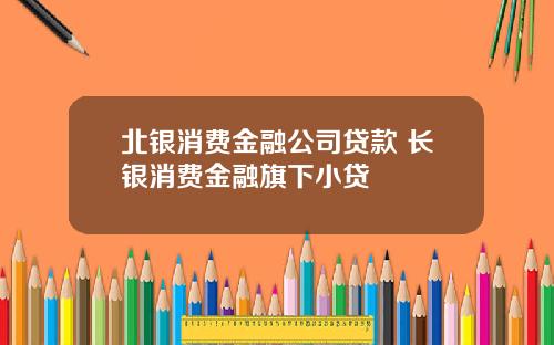 北银消费金融公司贷款 长银消费金融旗下小贷