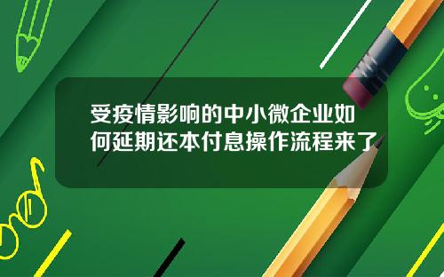 受疫情影响的中小微企业如何延期还本付息操作流程来了