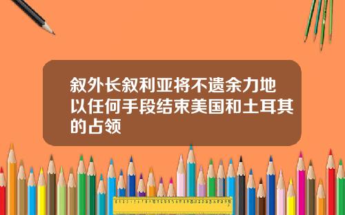 叙外长叙利亚将不遗余力地以任何手段结束美国和土耳其的占领