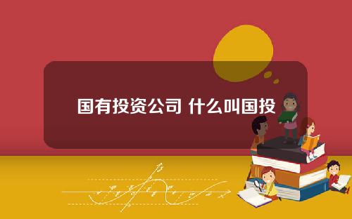 国有投资公司 什么叫国投