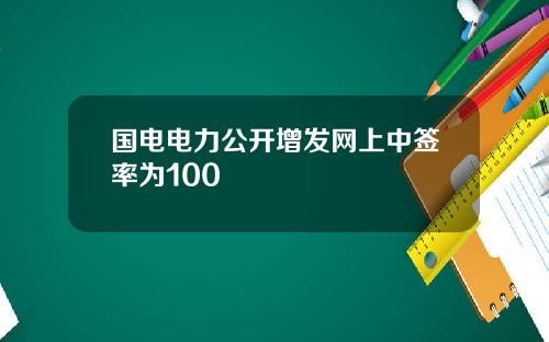 国电电力公开增发网上中签率为100