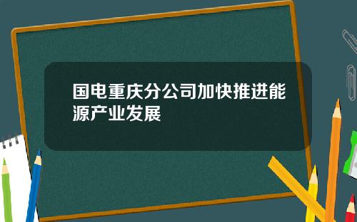 国电重庆分公司加快推进能源产业发展